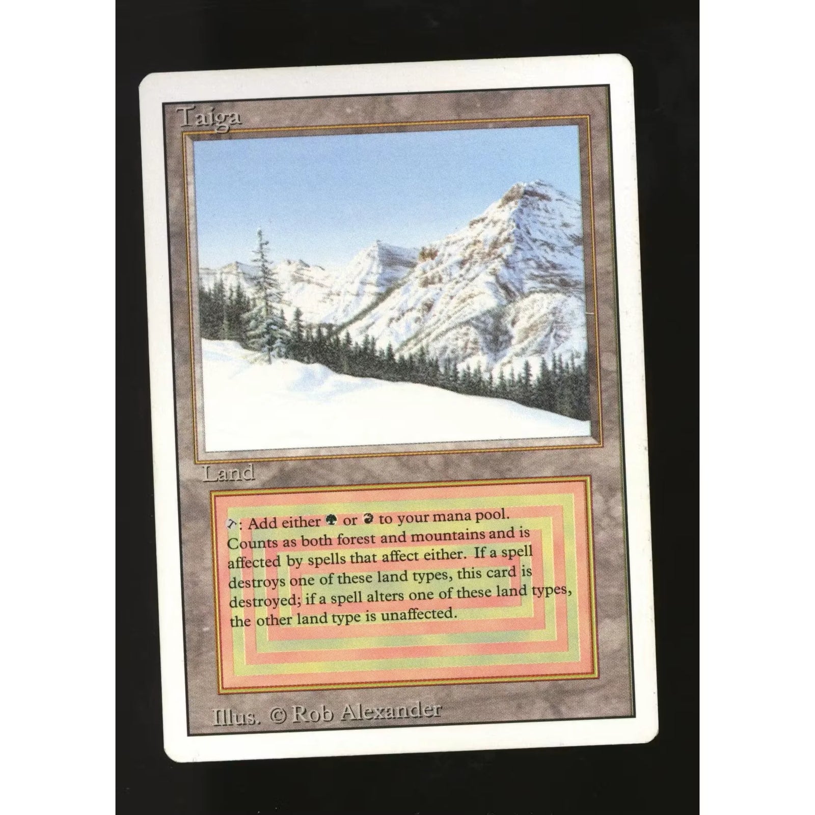 Taiga Magic the Gathering 3rd Edition Revised | Rare Land Card