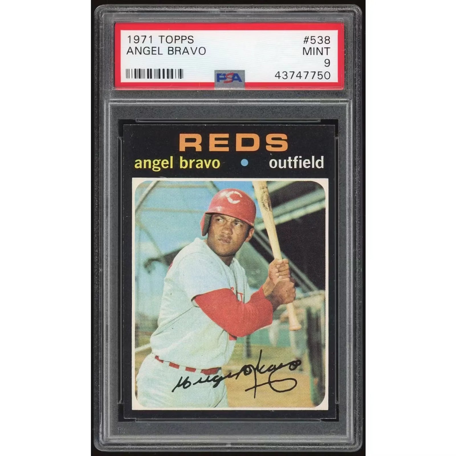 1971 Topps #538 Angel Bravo Baseball Card | PSA 9