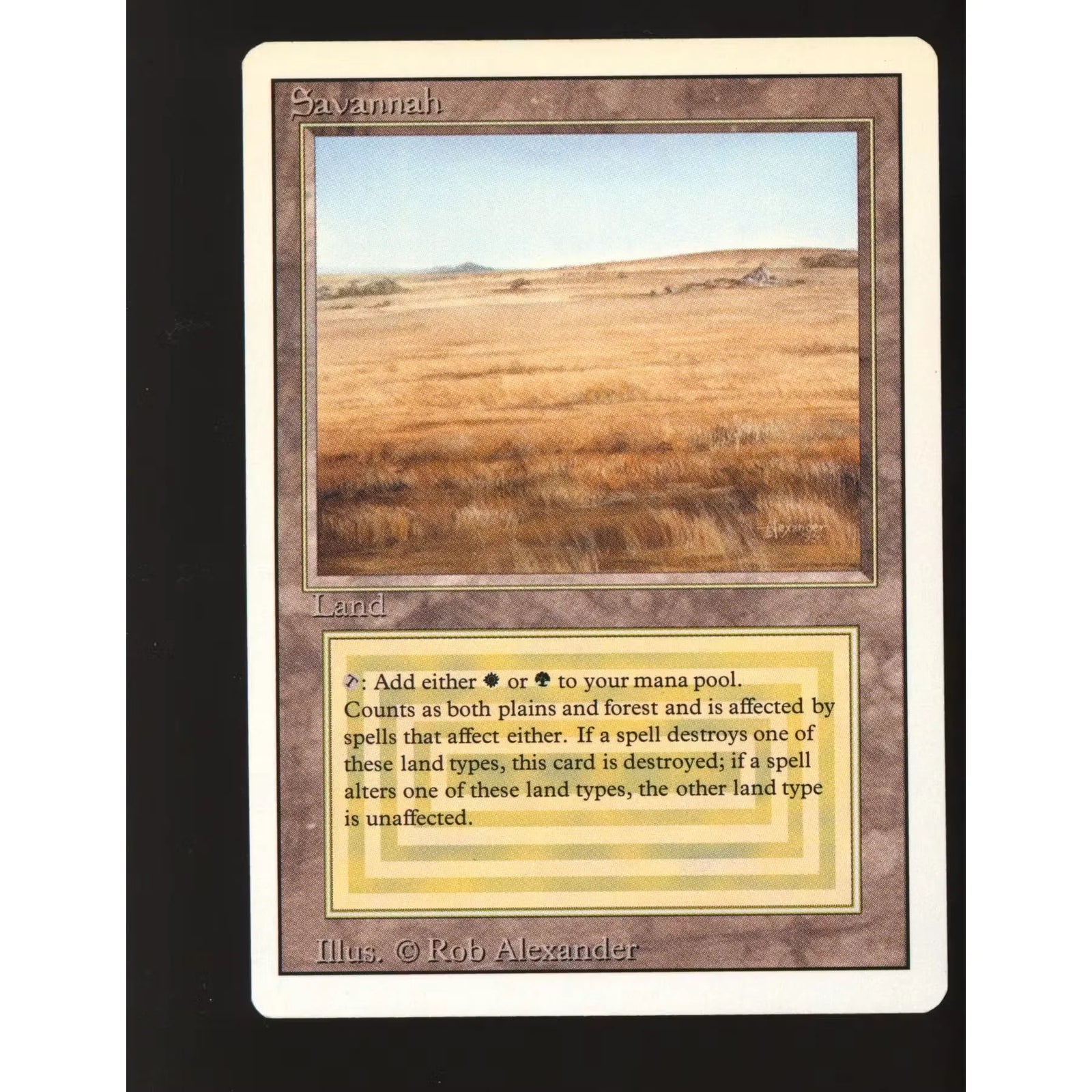 Savannah Magic the Gathering 3rd Edition | Near Mint Single