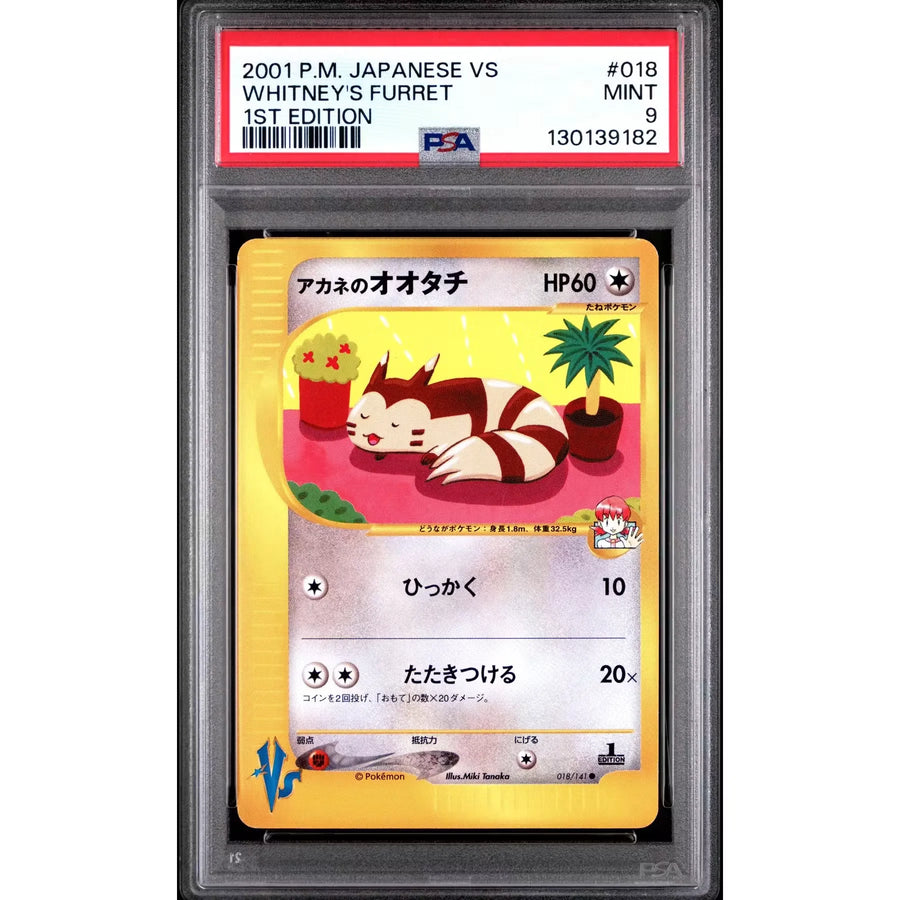 Whitney's Furret 018/141 Pokemon VS 1st Edition Japanese | PSA 9 | P5180538