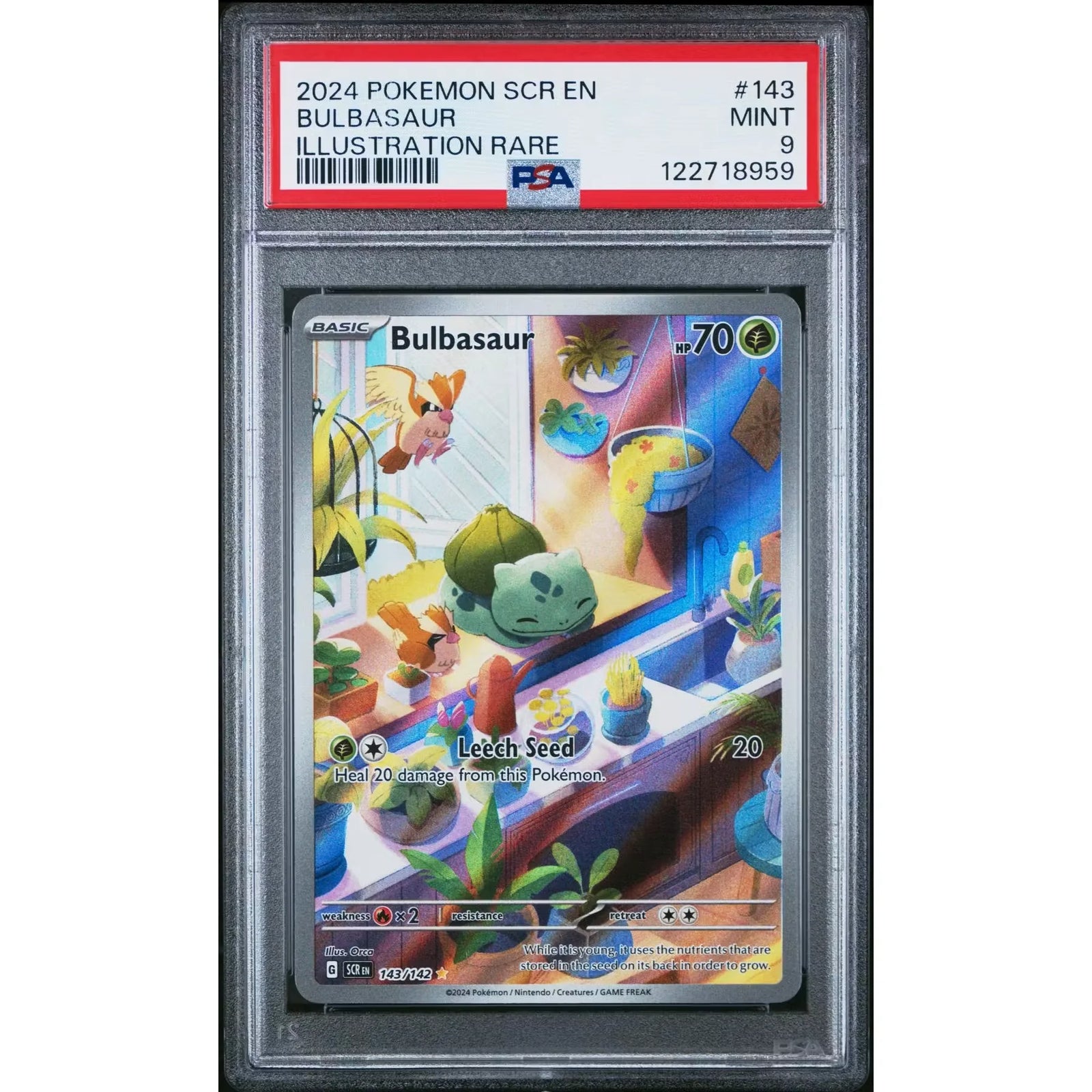 Pokemon Stellar Crown Bulbasaur 143/142 | PSA 9 Illustration Rare