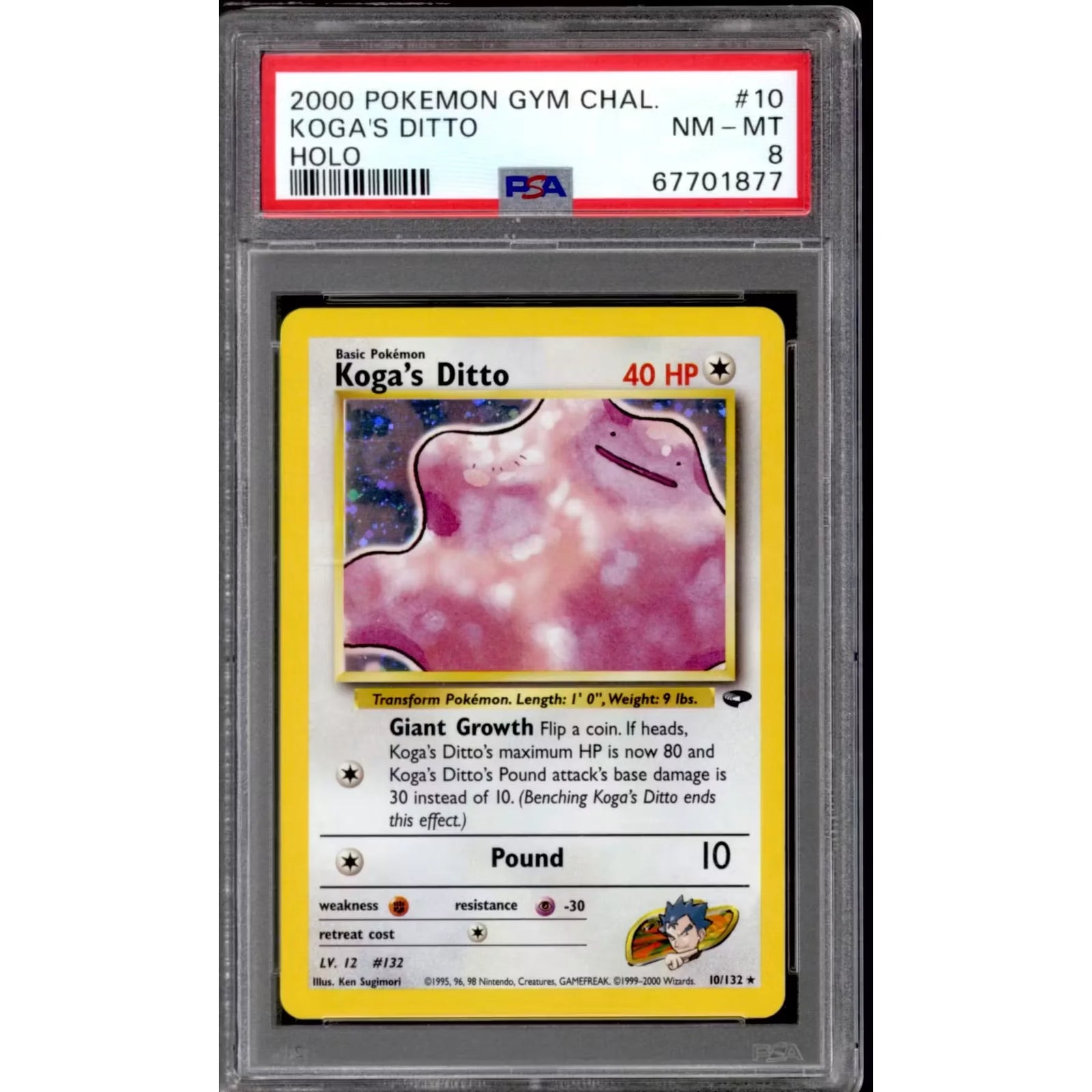 Koga's Ditto 10/132 Pokemon Card | PSA 8 Gym Challenge