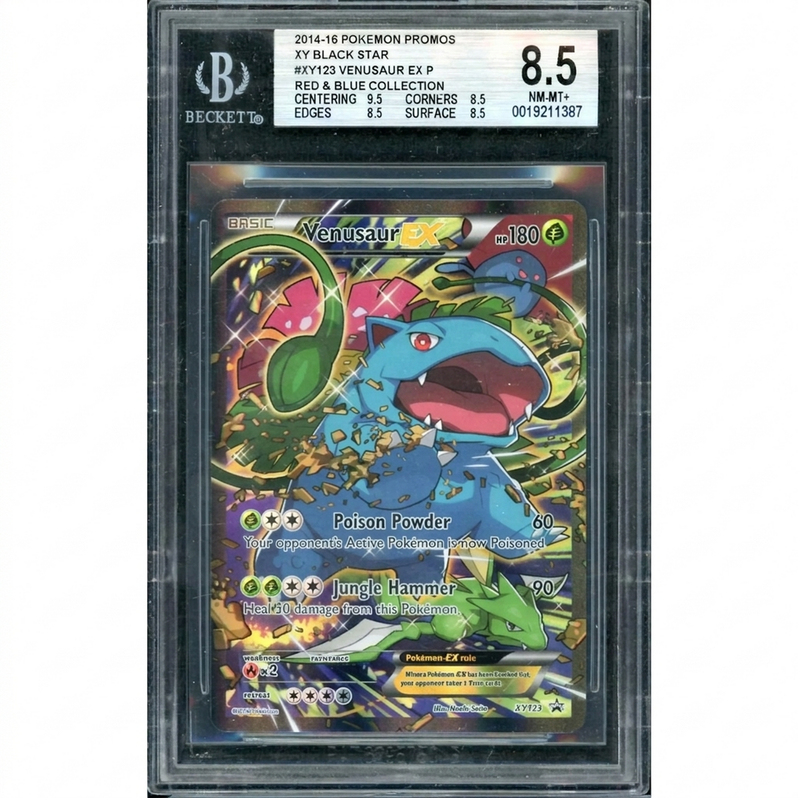 2014-16 Venusaur EX Black Star Promo XY123 | BGS 8.5