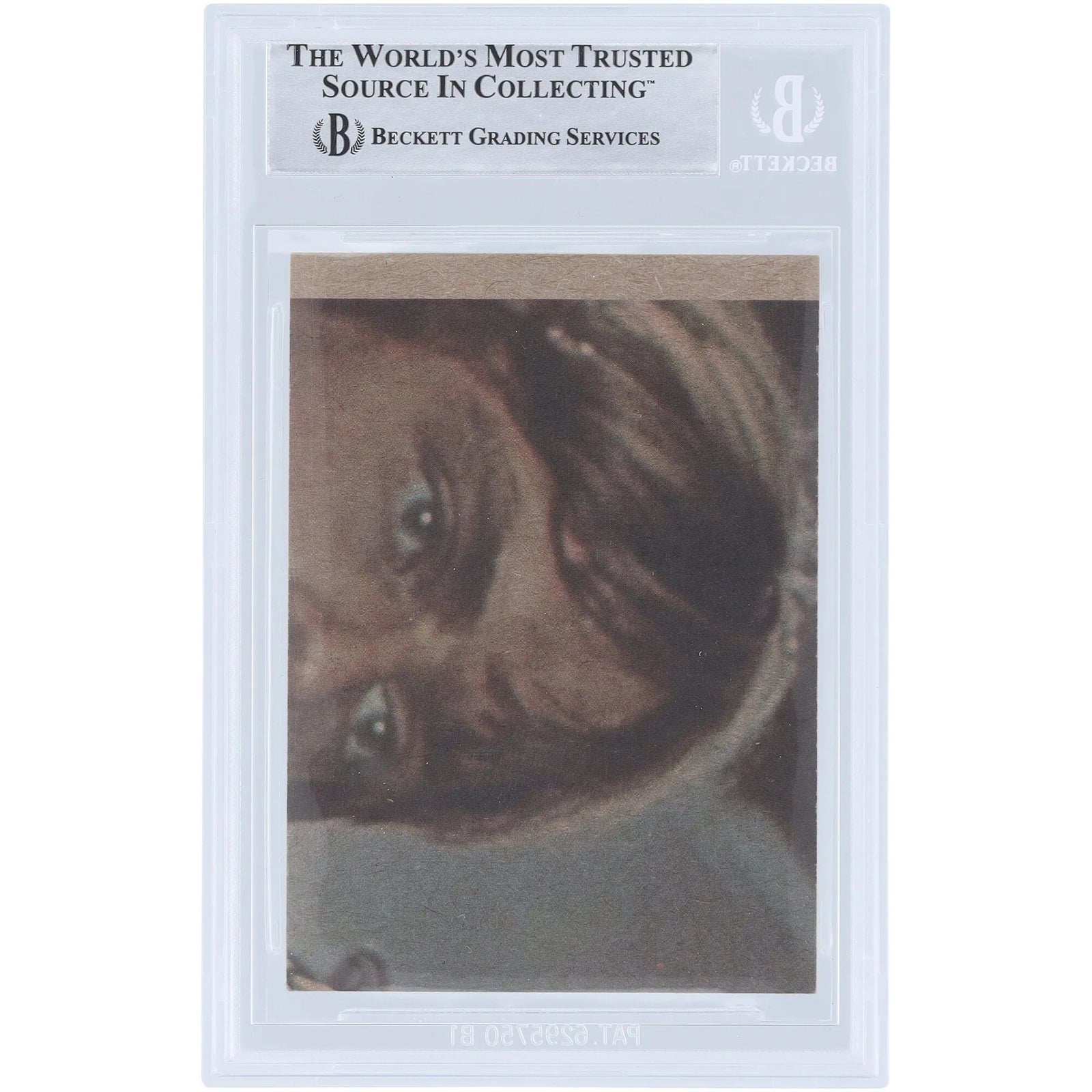 Terry McGovern Signed 1977 Topps Star Wars #168 Card | BAS Authenticated