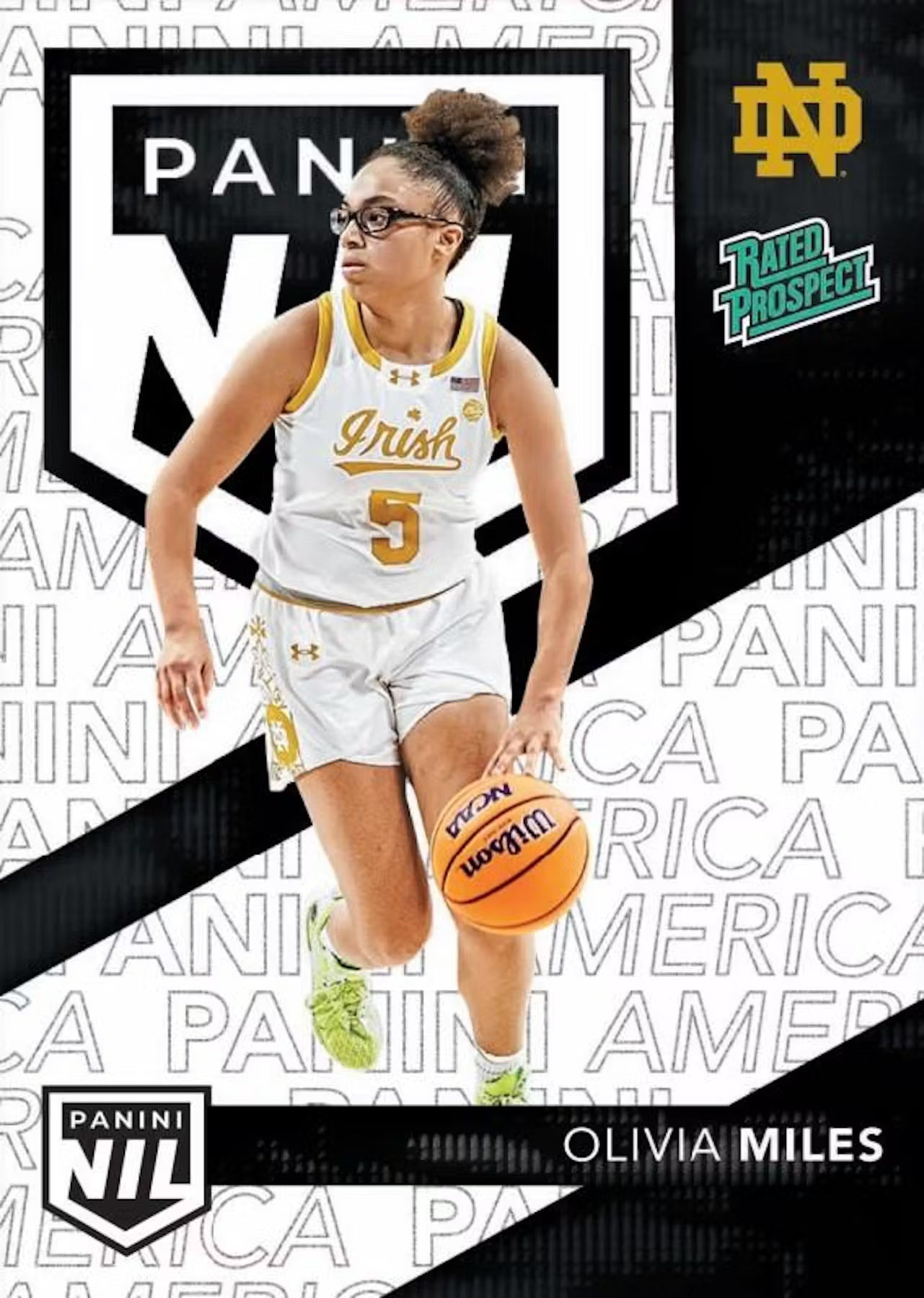 2025 Panini National VIP Silver Trading Cards
